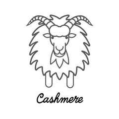 A.G. Cashmere Shemagh - Dark Stone Gray