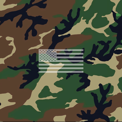 M81 Woodland Camo
