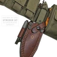 Ti-SFR